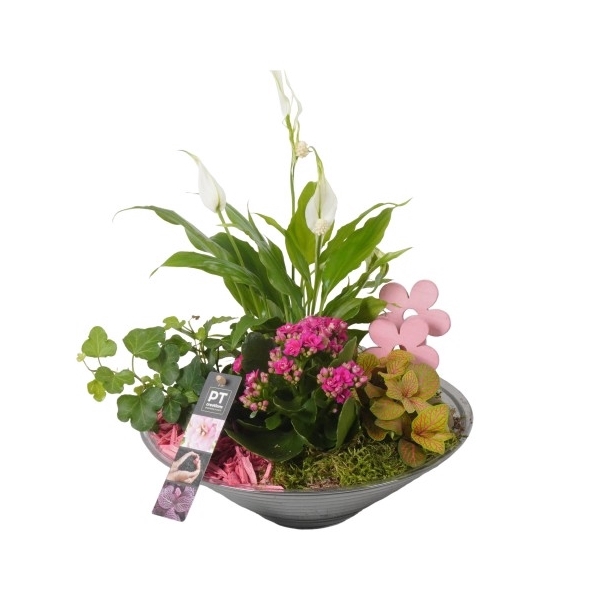 <h4>PTIG6812 Arrangement Indoor in glas schaal</h4>