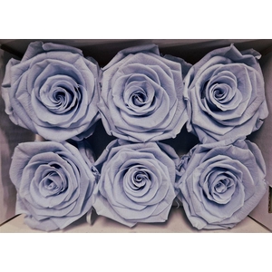 Ro Pres Classic Lavender