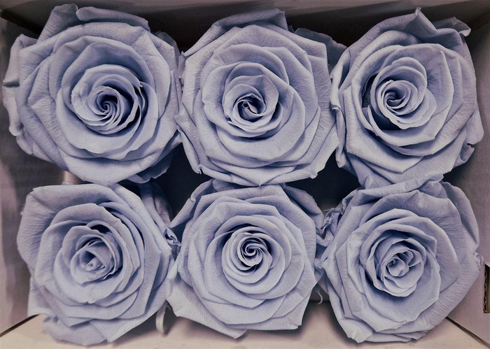 <h4>Ro Pres Classic Lavender</h4>