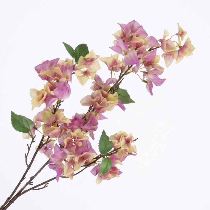 <h4>Bougainvillea Spray Peach FL440279PEA</h4>