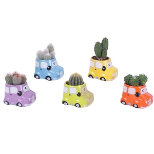 Thank you Teacher Arr. Cactus Ceramic Pot Car Ø09cm 1PP
