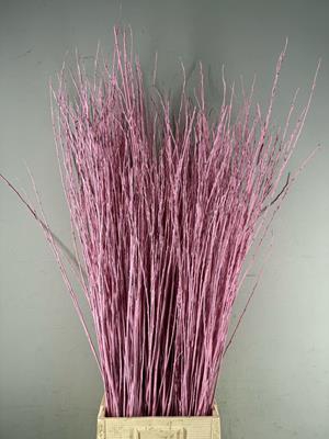 <h4>Willow Bundle Light Pink</h4>