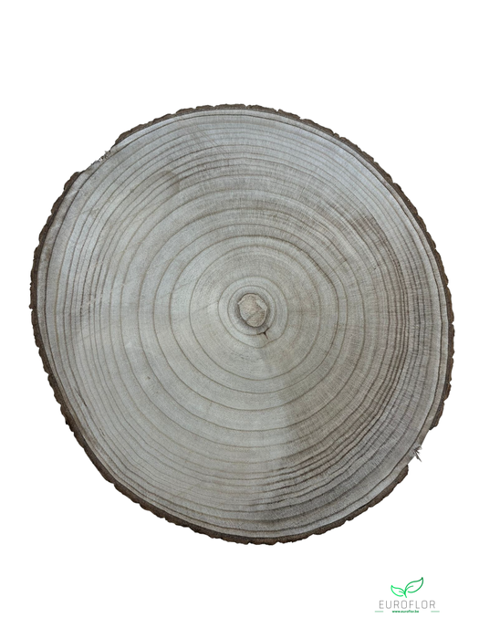 PAULOWNIA WOOD SLICE 40CM H2CM