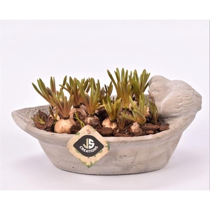 Cement ovaal vogelschaal gy 27x14cm