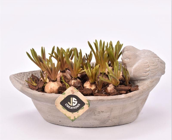 <h4>Cement ovaal vogelschaal gy 27x14cm</h4>