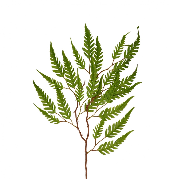 <h4>Kunstbloemen Fern 70cm</h4>