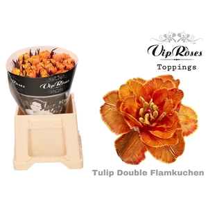 TU DU DOUBLE FLAMKUCHEN