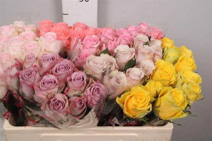 R Gr Gemengd In Fust