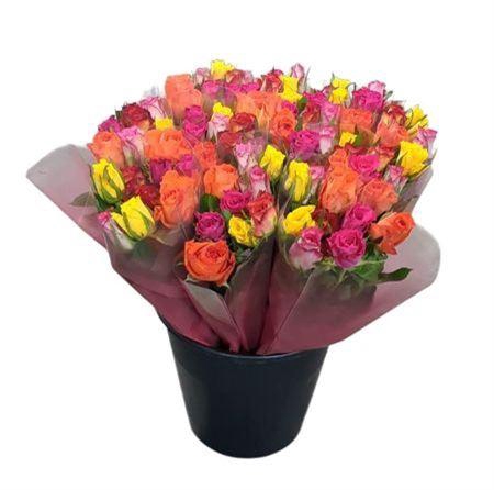 <h4>R Gr Rainbowmix</h4>