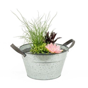 Terrasvijver zink blanco inc. mand