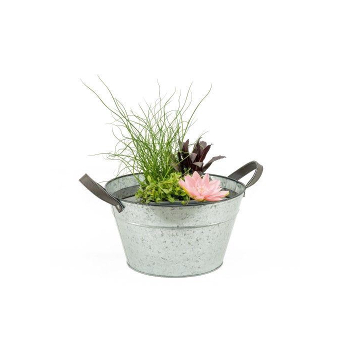 <h4>Terrasvijver zink blanco inc. mand</h4>
