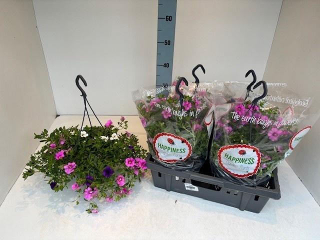 <h4>PERKPL MIXK</h4>