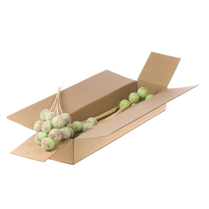 <h4>Apple 5cm O/s Sb Grn+snw</h4>