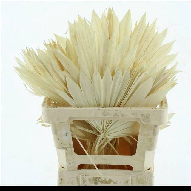 <h4>DROOGBL BEWERKT H%</h4>