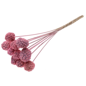 Atta Fruit on stem Intense Frosted Pink