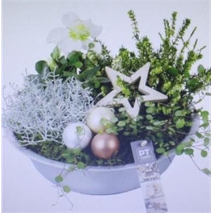 1949 ZINK WHITE BUITEN