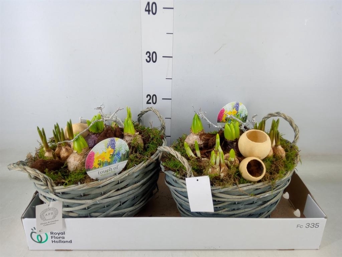 <h4>Arr.   Bol/Knolgewas L%</h4>