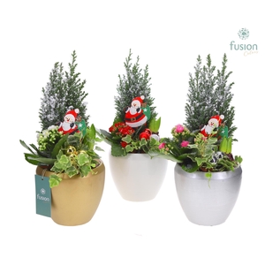 Keramiek pot met arrangement