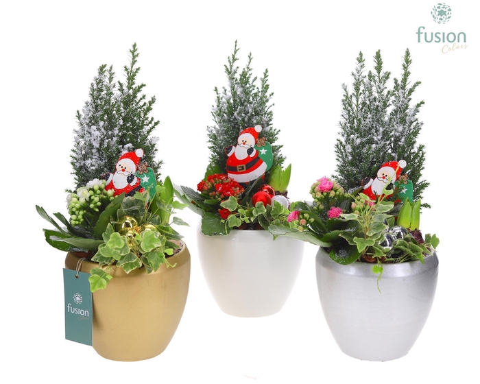 <h4>Keramiek pot met arrangement</h4>