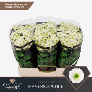 CHR S MAVERICK WHITE