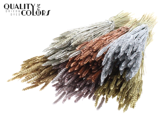 Triticum per bunch Mixed colours Metallic + Glitter