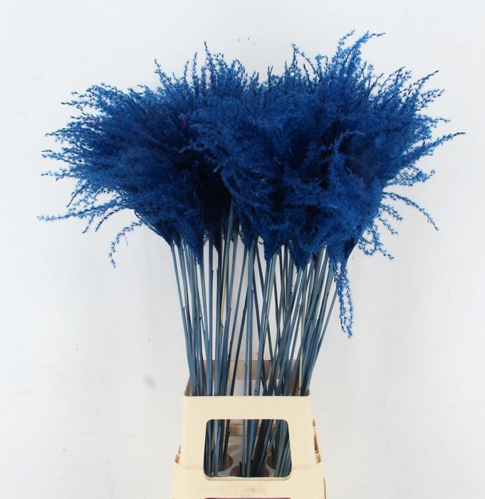 <h4>DROOGBL BEWERKT H%</h4>