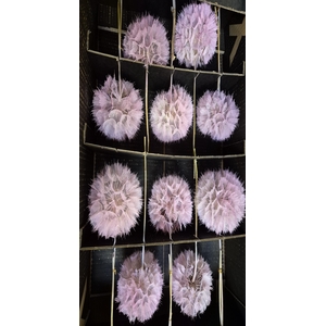 Y PRES PUSTE FLOWER baby pink