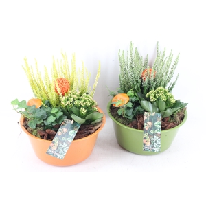 arr4 Outdoor MB - Zink groen oranje mix