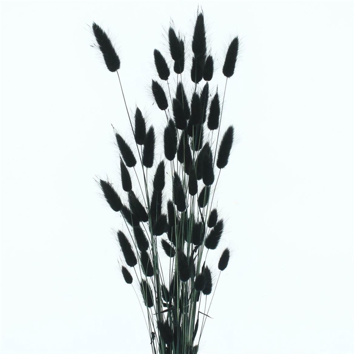 <h4>Droogbl Bewerkt H%</h4>
