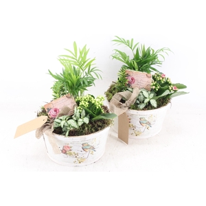 arr2 TD - Schaal rond bird - roze/wit