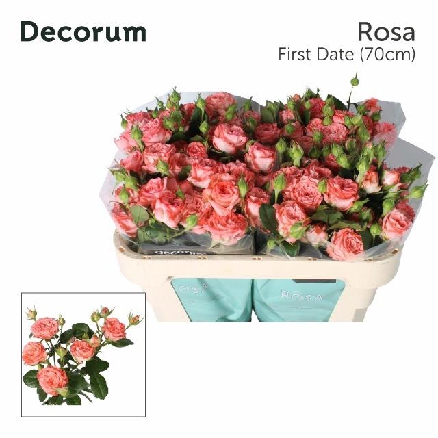 <h4>R TR FIRST DATE</h4>