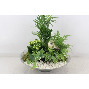 arr2 PL - Glas schaal konisch XL - wit