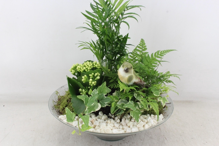 Arr2 Pl - Glas Schaal Konisch Xl - Wit