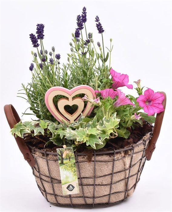 <h4>Gaasmand ovaal met jute 25x20cm</h4>