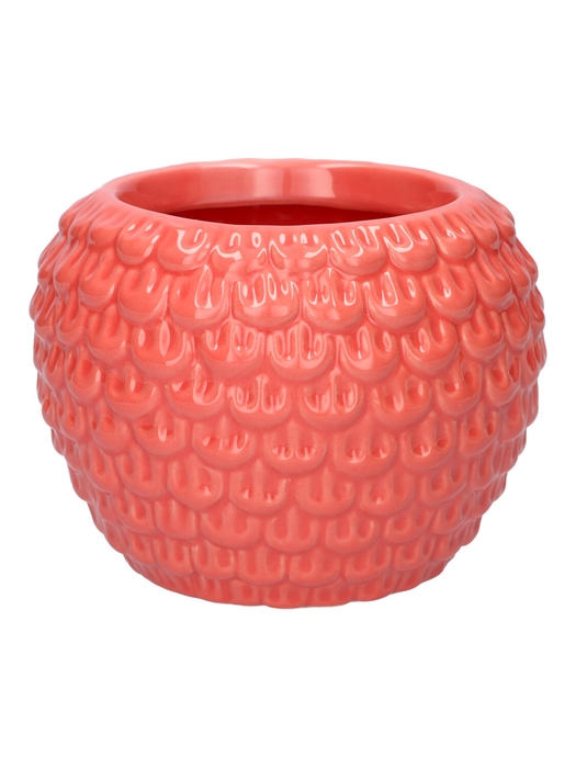 <h4>DF03-666830525 - Pot Florini d10/14.5xh10.9 candy pink</h4>
