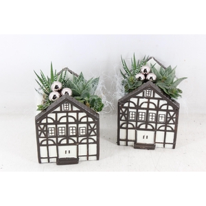 arr3 SN - Casa Saxon groot