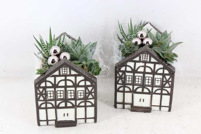 <h4>arr3 SN - Casa Saxon groot</h4>