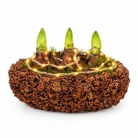 <h4>PTAA8861 Arrangement Amaryllis met LED in houten boot</h4>