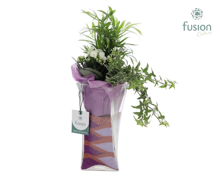 <h4>Glazen Twistervaas met Arrangement</h4>