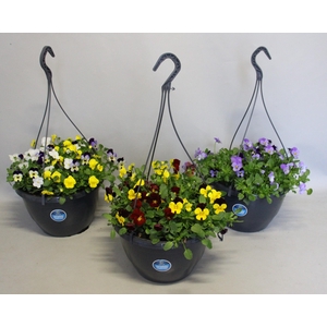 Hangpotten 27 waterreservoir Viola Cornuta Divers