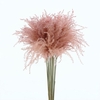 Dried Stipa Feather Baby Pink