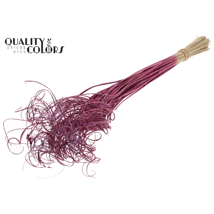 <h4>Palm Curly TT 100pc per bunch Metallic Pink</h4>