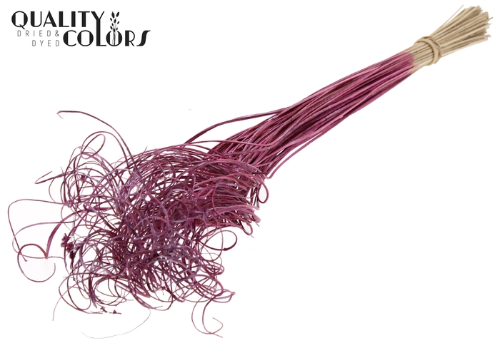 Palm Curly TT 100pc per bunch Metallic Pink