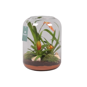 Green Bottle Isabella XLarge met Bromelia