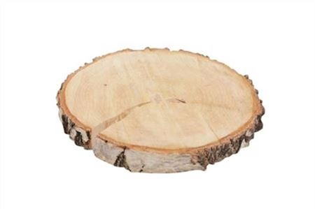 <h4>Deco Birch Slice Rnd D19-22</h4>