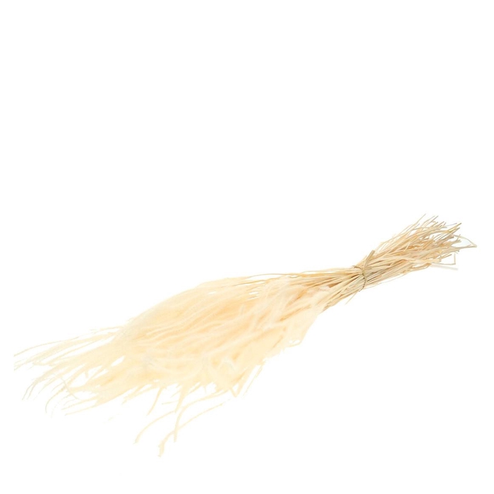 <h4>Droogbloem Ouro 50cm 100g</h4>