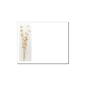 DF Twig Bakuli Shola Bld/L