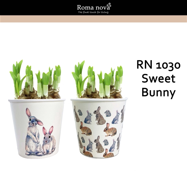 <h4>1030 - Sweet Bunny (Tete a Tete)</h4>