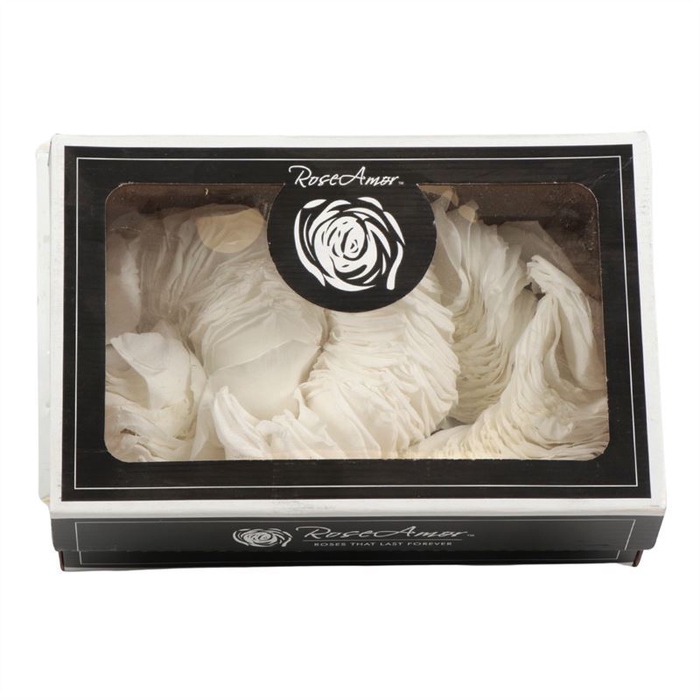 <h4>Rosa Preserved Petals Whi 01</h4>