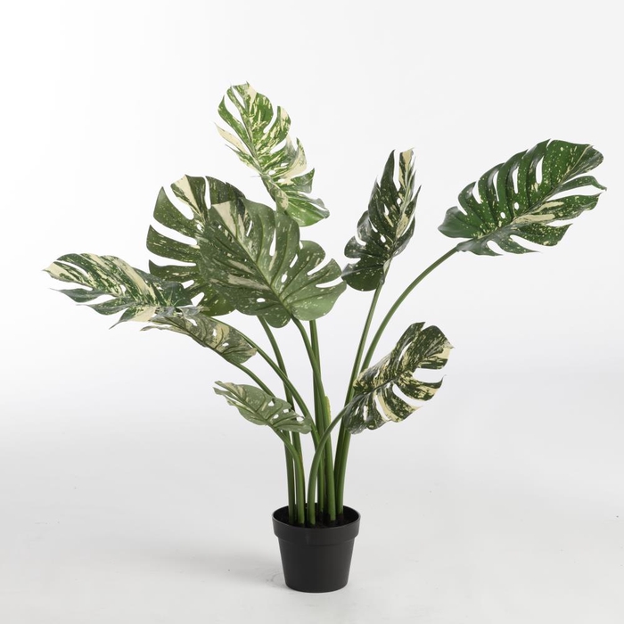 <h4>AF Philo x9 pot H90cm Variga</h4>